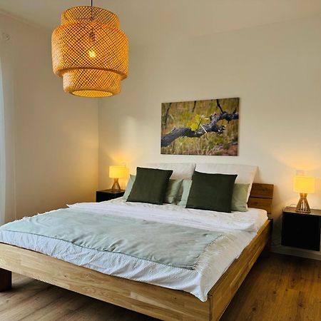 Moderne Ferienwohnung Mit Terrasse, Grill & Privatparkplatz Venningen Eksteriør bilde